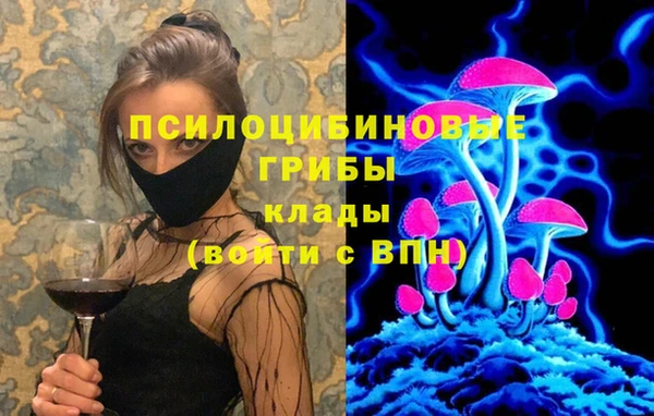 МДПВ Верея